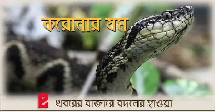 Brazilian viper venom may become tool in fight against COVID