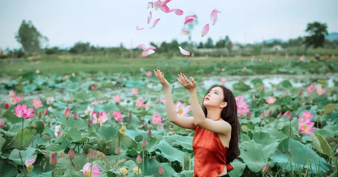 Lotus flower, Bankurar, Durga Puja