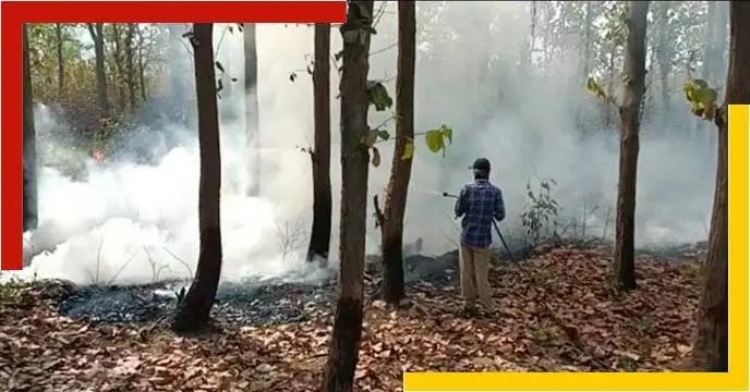 fire in the forest of Shalbani