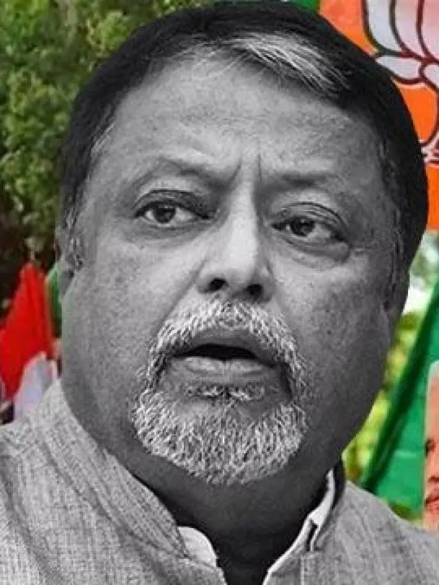 ‘মুকুল রায় ব্যাগ ভর্তি টাকা কালীঘাটে পৌঁছে দিতেন’