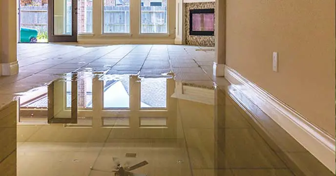 The floor of the house is suddenly getting wet, but why?