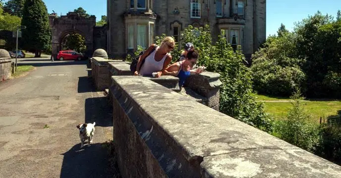 Dogs commit suicide as soon as they come to this mysterious bridge