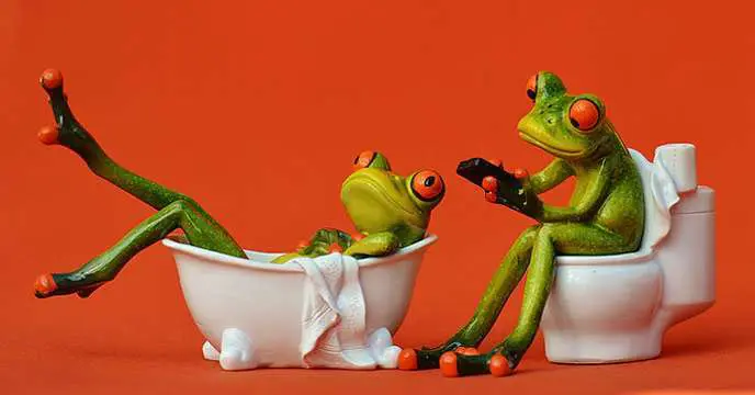 Mobile users in the toilet