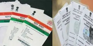 Hundreds of Personal IDs Found in Pond: Aadhaar Card Leak Suspected in Purba Bardhaman