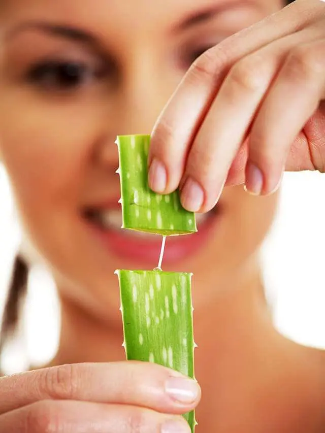 Aloe Vera: ত্বকের যত্ন ছাড়াও অ্যালোভেরা আর কী কী কাজে লাগে