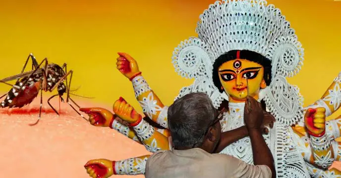 dengue cases in Bengal is increasing during the Puja season
