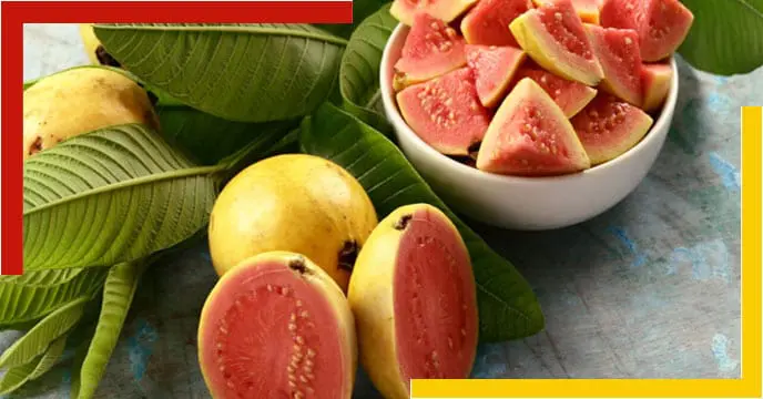 Guava leaves reduce the risk of cancer