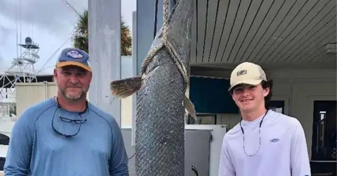 এই মাছটিকে অ্যালিগেটর গার ফিশ বলা হয় কারণ এর দাঁত দেখতে অ্যালিগেটরের মতো। এ ছাড়া কুমিরের সঙ্গে তাদের আর কোনো সম্পর্ক নেই। তাদের সর্বোচ্চ দৈর্ঘ্য ১০ ফুট পর্যন্ত হতে পারে