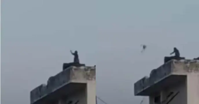 monkey started flying kite