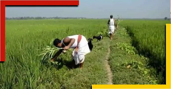 Know about nal sankranti a old ritual