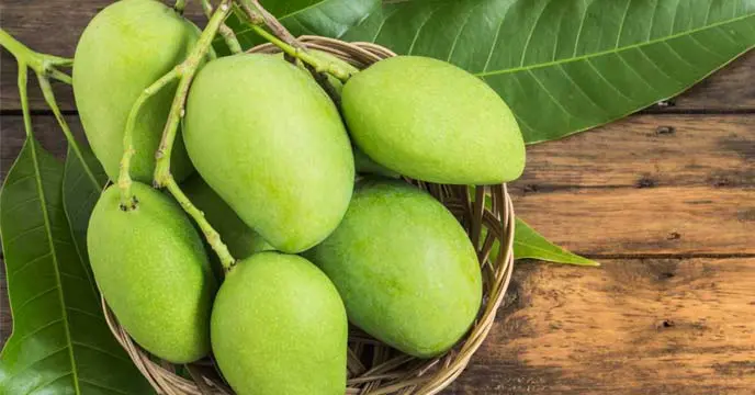 Fresh Raw Mangoes