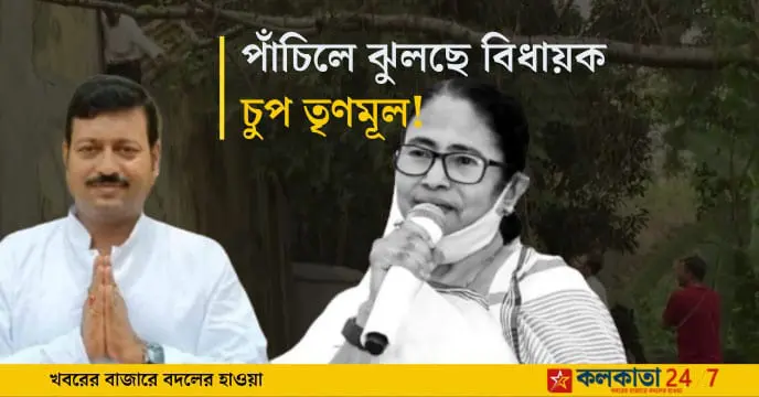 MLA Jibonkrishna Saha standing in front of the media