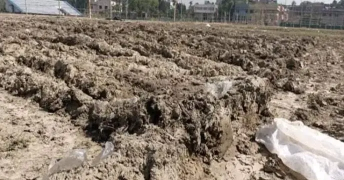 From Sports to Agriculture: Abhishek Banerjee's Sangyog Yatra Leads to Malda Stadium Turning Into Plowed Land