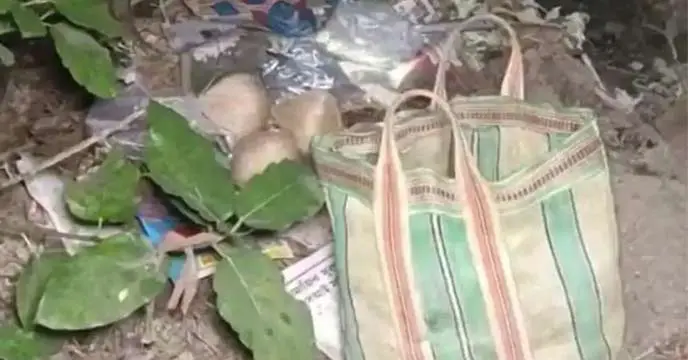 Bhangar bomb recovery