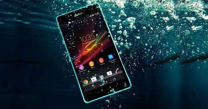 Fix a Water-Damaged Phone