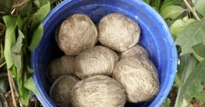 তিন সপ্তাহ কেটে গেছে পঞ্চায়েত ভোট। অশান্তি থামেনি এখনও। বীরভূমে (Birbhum) সিউড়ির আলুন্দা পঞ্চায়েতের ধল্লা গ্রামে ফের উদ্ধার বোমা ভর্তি ড্রাম।