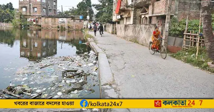 dengue outbreak bengal