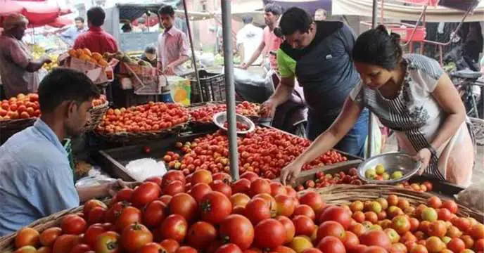 tomato prices