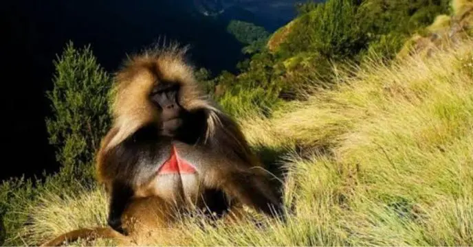 7 years back if you entered these country