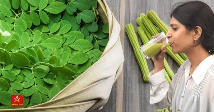 Health Benefits of Moringa Leaves