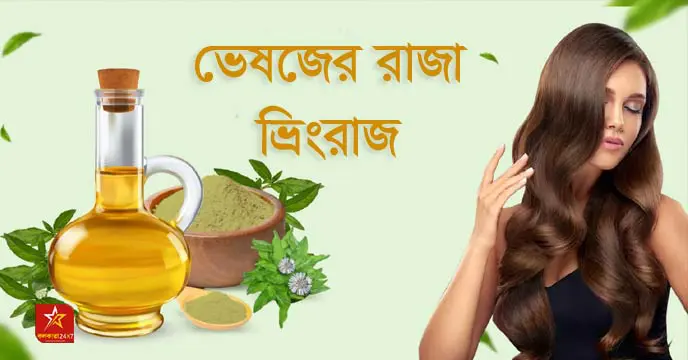bhringraj oil benefits