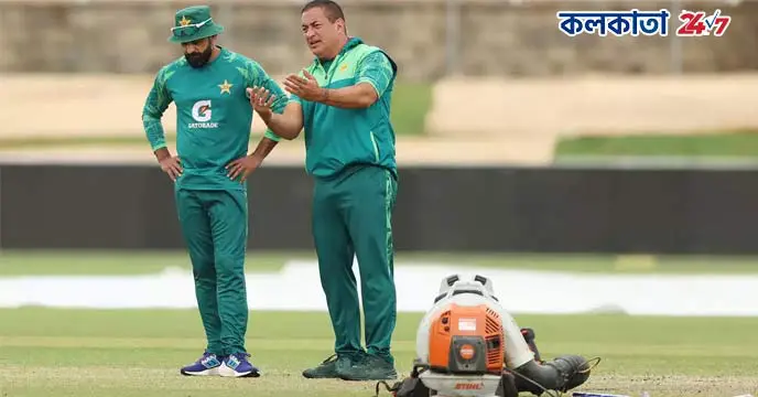 Mohammad Hafeez Gains Traction