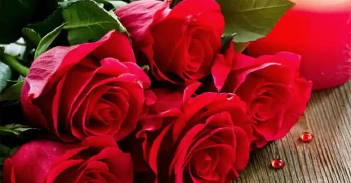 Happy Rose Day
