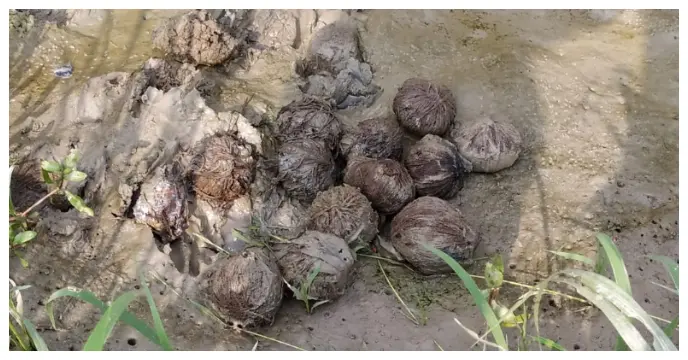 Delhi Student Arrested for Sending Bomb Threat Emails to Schools