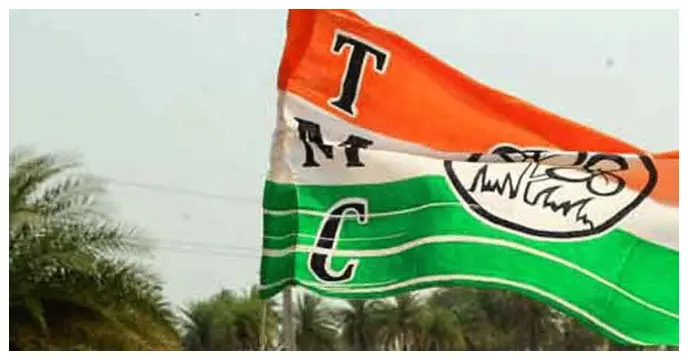 tmc flag