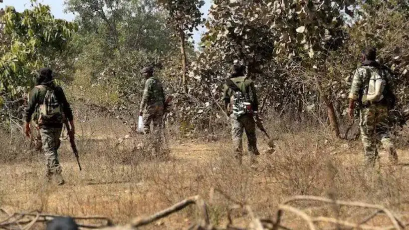 Over 300 Maoists Killed, 1100 Arrested in 13-Month Crackdown in Chhattisgarh