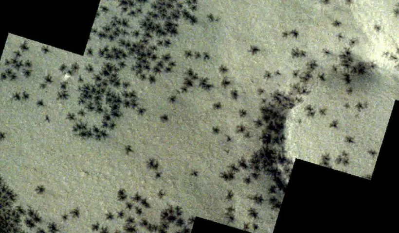 Spiders on Mars