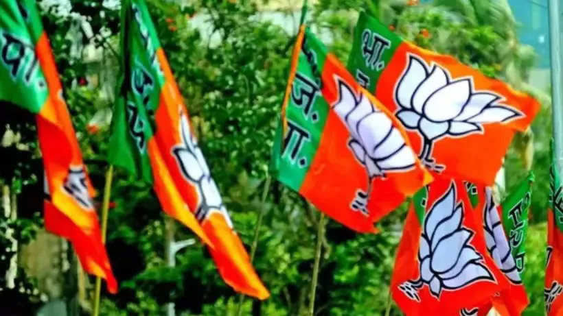 bjp-flag