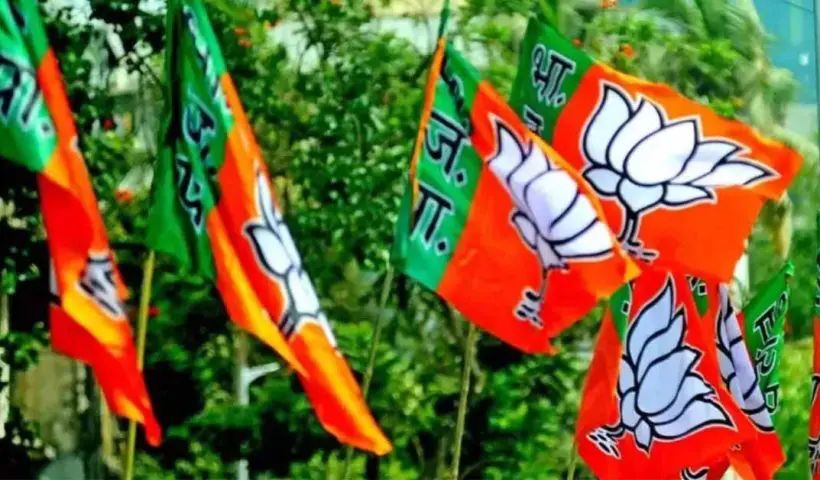 bjp-flag
