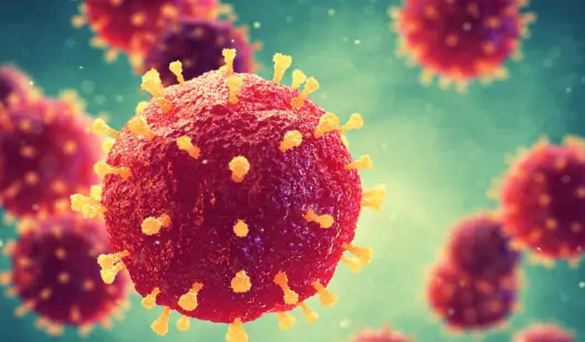 Rubella-Virus
