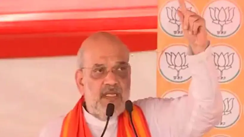 Amit Shah on foundation day