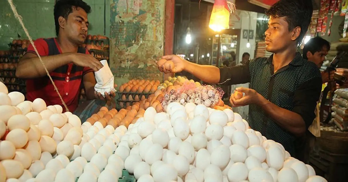 Poultry Farm in Jalpaiguri to Shut Down Following Leptospirosis and Jaundice Outbreak