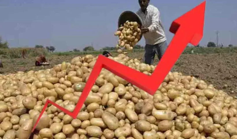 The Potato Price Hike, middle-class people are gasping for breath while buying in the market