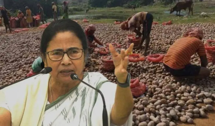 'আলু যাবে না', স্পষ্ট জানিয়ে দিলেন মুখ্যমন্ত্রী মমতা