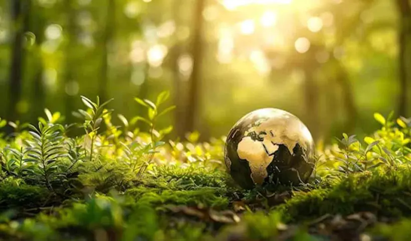 Surpassing Multiple Cities, Kolkata Tops the Nature Index 2024 Rankings