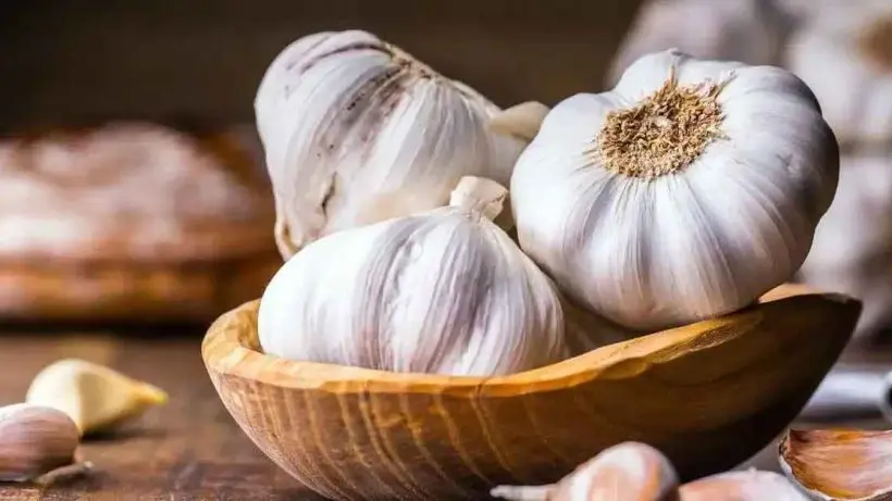 Howrah Police Seizes Banned Chinese Garlic in Major Bust