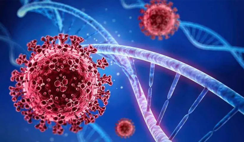 JP Nadda Reaches Out to Mamata Banerjee Amid Nipah Virus Detection in West Bengal