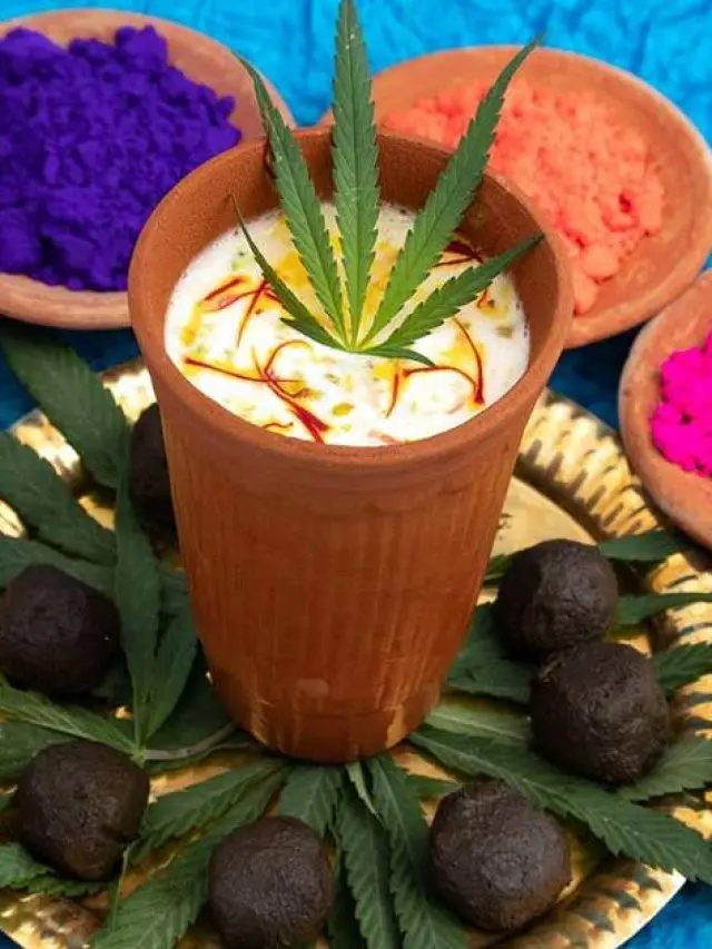 হোলির উৎসবে ভাঙ কীভাবে হল রাজা, কেন নিষিদ্ধ গাঁজা?