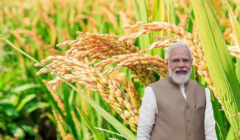 sasryee mulya ar from modi