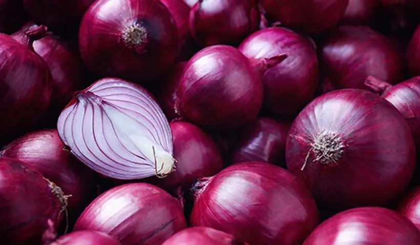onion-tariff-cancellation-price-impact