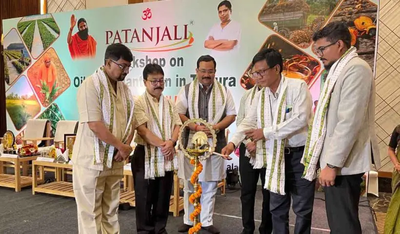 Patanjali to Invest Tripura for Oil Palm