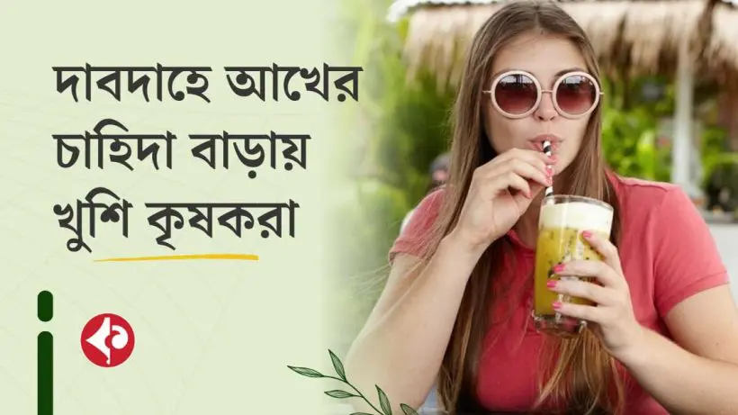 Sugarcane Farming Brings Big Profits for Farmers Amid Heatwave in Purba Bardhaman