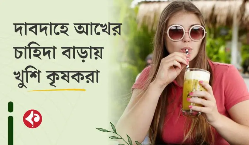 Sugarcane Farming Brings Big Profits for Farmers Amid Heatwave in Purba Bardhaman