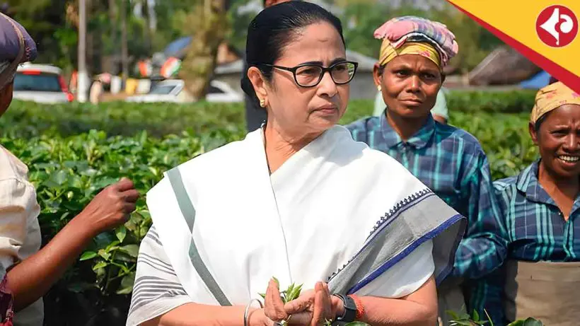 Mamata Banerjee’s Big Move: 20% Bonus for Tea Garden Staff