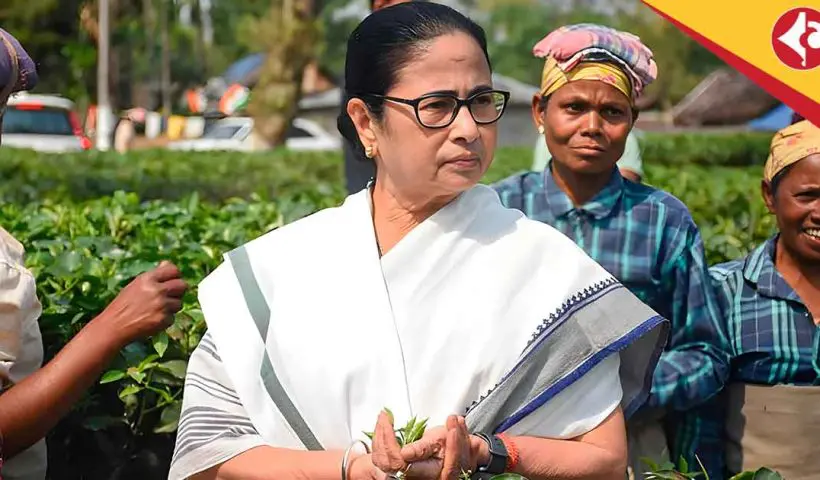 Mamata Banerjee’s Big Move: 20% Bonus for Tea Garden Staff