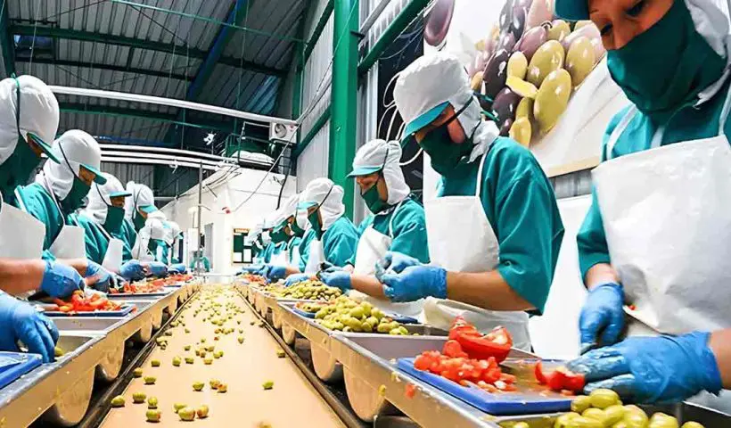 PLI Scheme Boosts India's Food Processing